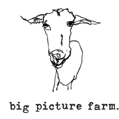Hand-drawn picture of a goat